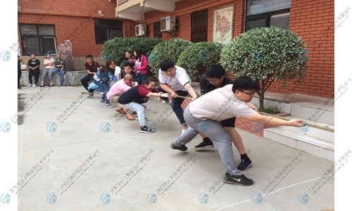 企業(yè)活動展示